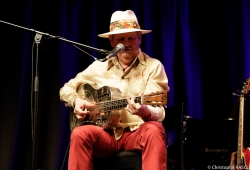 2014 - Die Mojo Blues Band