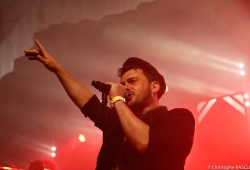 2015 - Babylon Circus